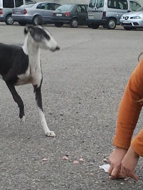 Noelle rescatada, su pesadilla terminó