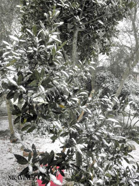 Nieve en Menorca!