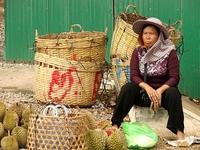 Transformando El Poder Económico Para Avanzar Los Derechos De Las Mujeres Y La Justicia