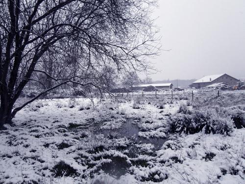 Duranguesado con nieve en imágenes