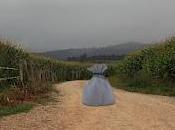 gratuidad desconexión