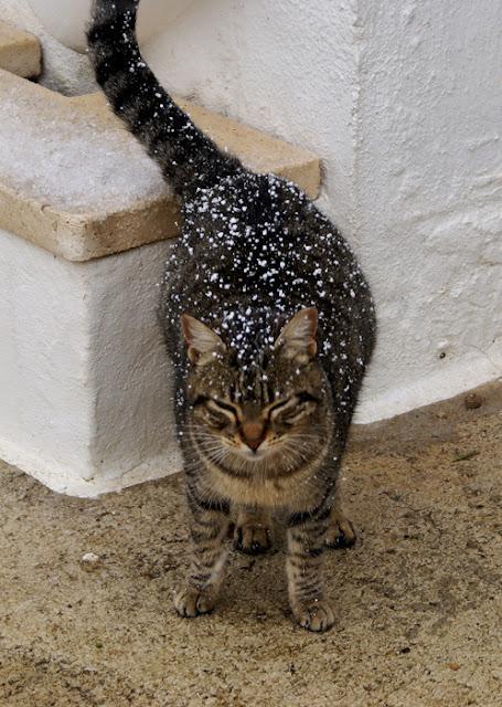 EL FRÍO SE ABATE SOBRE EL MEDITERRÁNEO