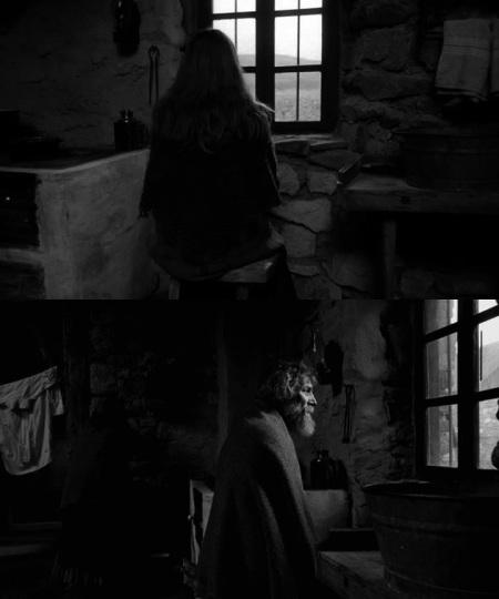 The Turin Horse (Béla Tarr, 2011)