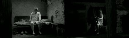 The Turin Horse (Béla Tarr, 2011)