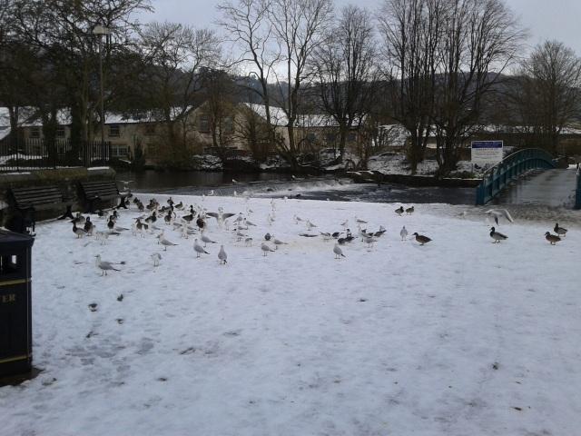 Nevando en Bakewell