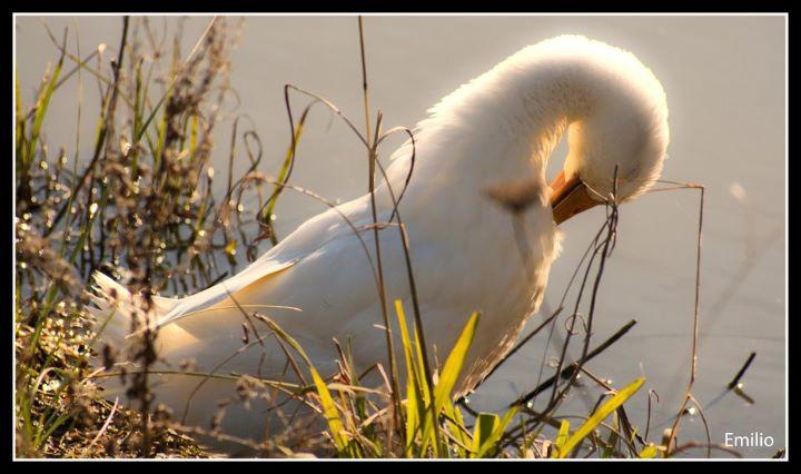 Fotografia de la semana