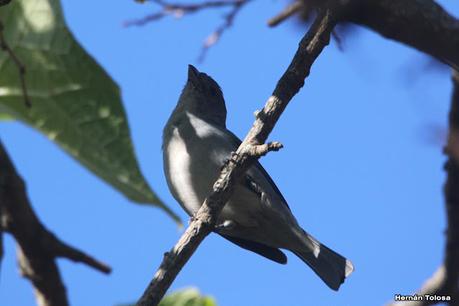 Visita a la RECS en otoño (MAYO 2024)
