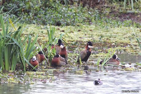 Visita a la RECS en otoño (MAYO 2024)