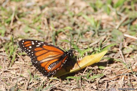 Visita a la RECS en otoño (MAYO 2024)