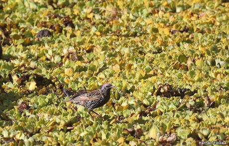 Visita a la RECS en otoño (MAYO 2024)