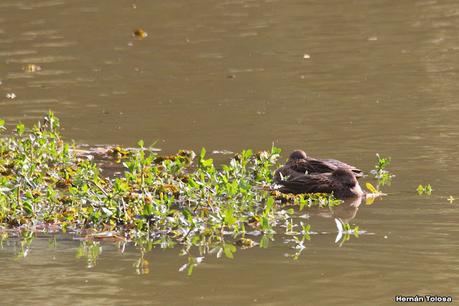 Visita a la RECS en otoño (MAYO 2024)
