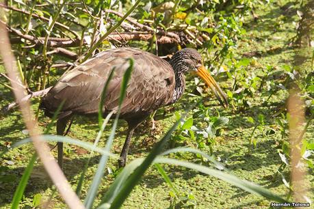 Visita a la RECS en otoño (MAYO 2024)