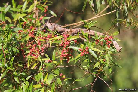Visita a la RECS en otoño (MAYO 2024)