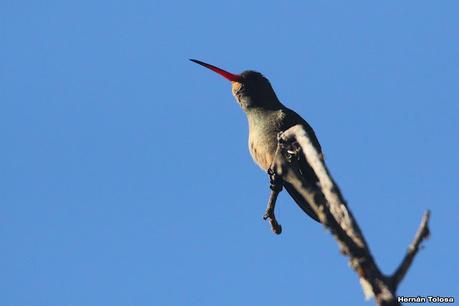 Visita a la RECS en otoño (MAYO 2024)