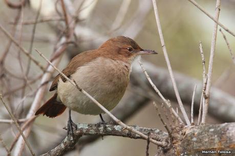 Visita a la RECS en otoño (MAYO 2024)