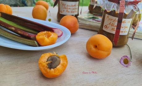 Mermelada de albaricoques y ruibarbo