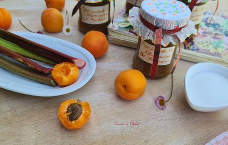 Mermelada de albaricoques y ruibarbo