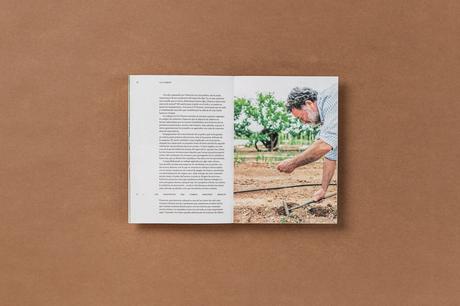 LOCAL nº2 con CA Climent LOCAL nº2 con CA Climent