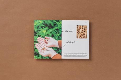 LOCAL nº2 con CA Climent LOCAL nº2 con CA Climent