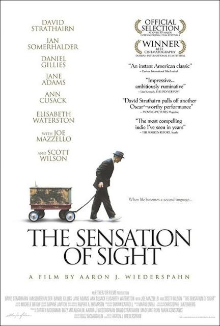 Sensation of Sight, The (USA, 2006)
