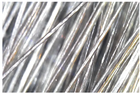 Pelo saludable vitaminas largo corto rulos