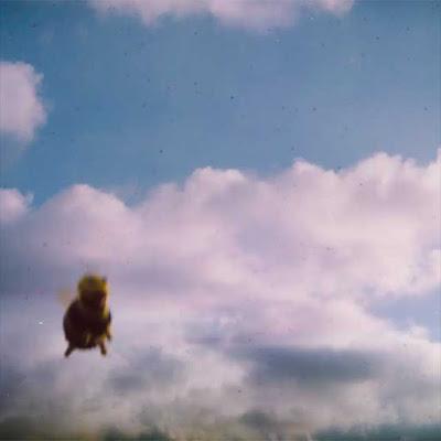 Pond - Constant picnic (2024)