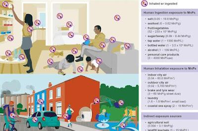 Las partículas de plástico aumentan el riesgo de enfermedades Las partículas de plástico aumentan el riesgo de enfermedades