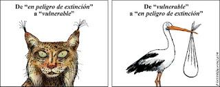 Las viñetas de cada día