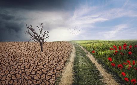 La crisis climática y la crisis de biodiversidad son desafíos de la sostenibilidad muy apremiantes y afectados por la resistencia al cambio