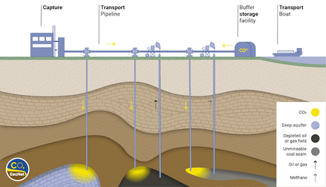 De residuo a recurso: aplicaciones del CO2 capturado en la industria