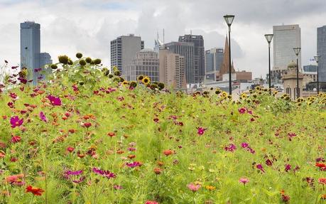 La ciudad esponja es una innovadora aproximación a la gestión del agua que promete transformar el diseño sostenible de nuestras urbes