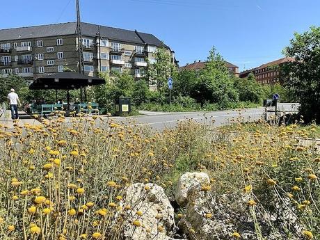 ¿En qué consiste una ciudad esponja? (2)