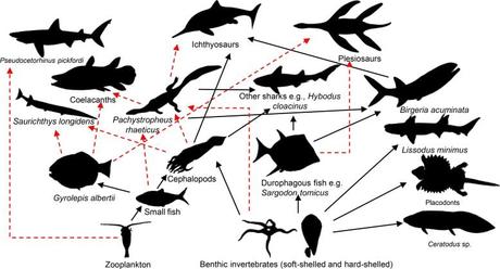 La red alimentaria retiana del archipiélago de Bristol