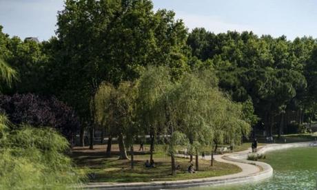 Barcelona verde: renovación integral de sus jardines para el 2025