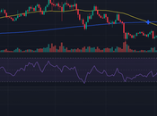 Ganadores perdedores semanales mercado criptomonedas: LDO, ENS, WIF,