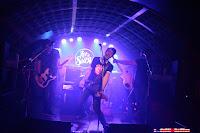 Noise Box en El perro de la parte de atrás del coche