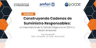 Webinar Construyendo Cadenas de Suministro Responsables: La importancia de la Debida Diligencia en DDHH y Medio Ambiente Webinar Construyendo Cadenas de Suministro Responsables: La importancia de la Debida Diligencia en DDHH y Medio Ambiente