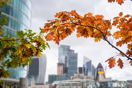 Descubre mi Guía Completa del Sky Garden