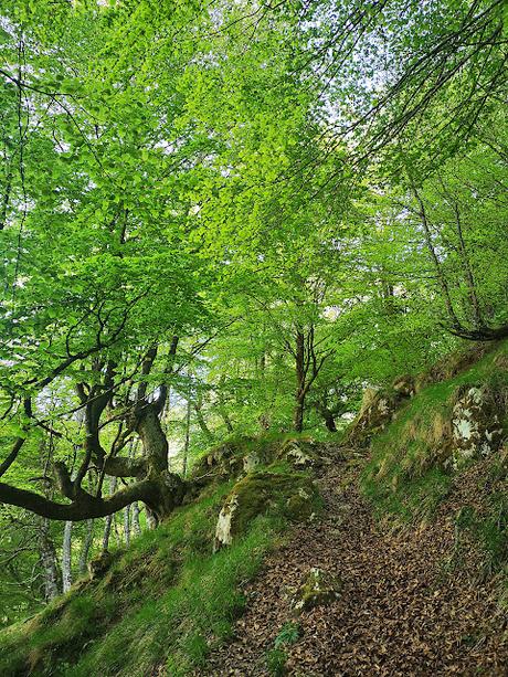 La Llambria y Becerrera de San Pedro desde Taranes