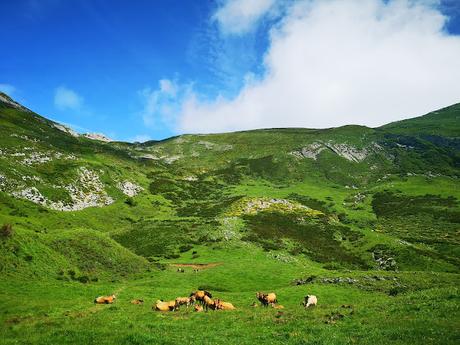La Llambria y Becerrera de San Pedro desde Taranes