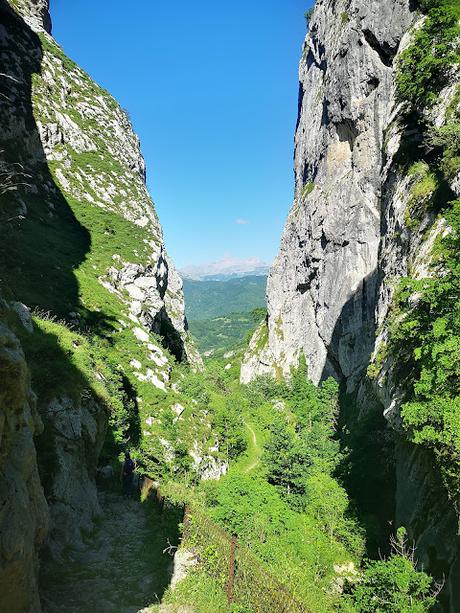 La Llambria y Becerrera de San Pedro desde Taranes