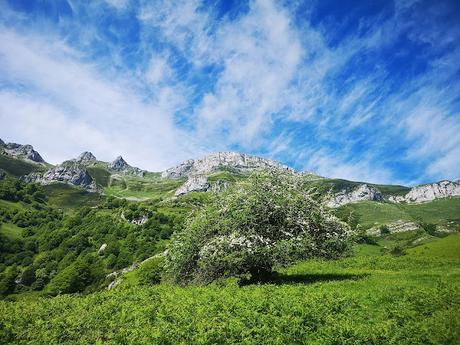La Llambria y Becerrera de San Pedro desde Taranes