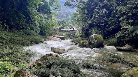 ECUADOR : UNA INCURSIÓN EN LA AMAZONIA DESDE TENA ECUADOR : UNA INCURSIÓN EN LA AMAZONIA DESDE TENA
