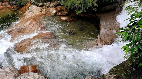 ECUADOR : UNA INCURSIÓN EN LA AMAZONIA DESDE TENA ECUADOR : UNA INCURSIÓN EN LA AMAZONIA DESDE TENA