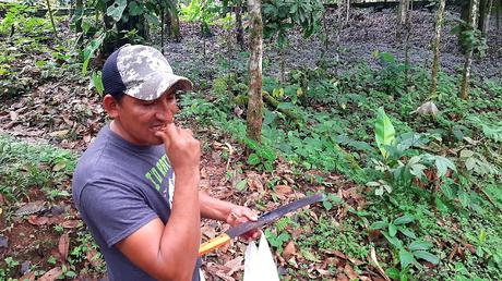 ECUADOR : UNA INCURSIÓN EN LA AMAZONIA DESDE TENA ECUADOR : UNA INCURSIÓN EN LA AMAZONIA DESDE TENA