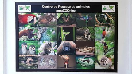 ECUADOR : UNA INCURSIÓN EN LA AMAZONIA DESDE TENA ECUADOR : UNA INCURSIÓN EN LA AMAZONIA DESDE TENA