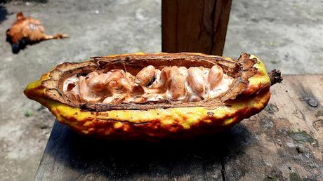 ECUADOR : UNA INCURSIÓN EN LA AMAZONIA DESDE TENA ECUADOR : UNA INCURSIÓN EN LA AMAZONIA DESDE TENA