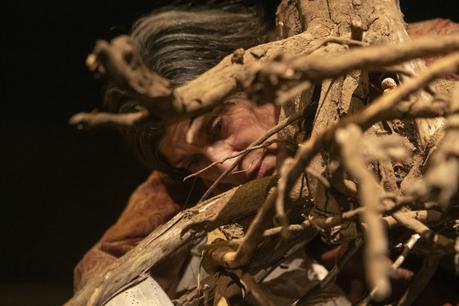 GAM: Montaje se adentra en la naturaleza para acceder a lo invisible invisible_8504935