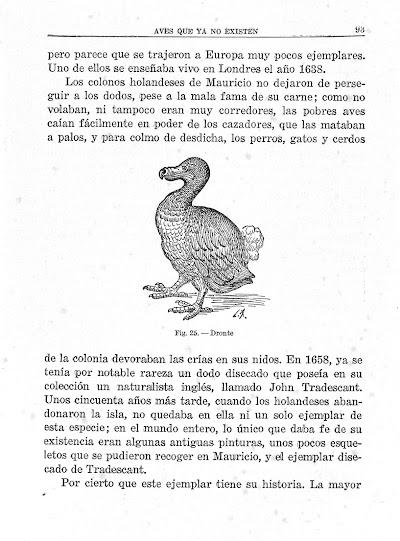 Ángel Cabrera Latorre 