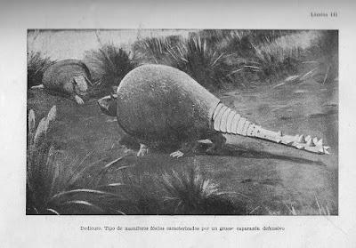 Ángel Cabrera Latorre 